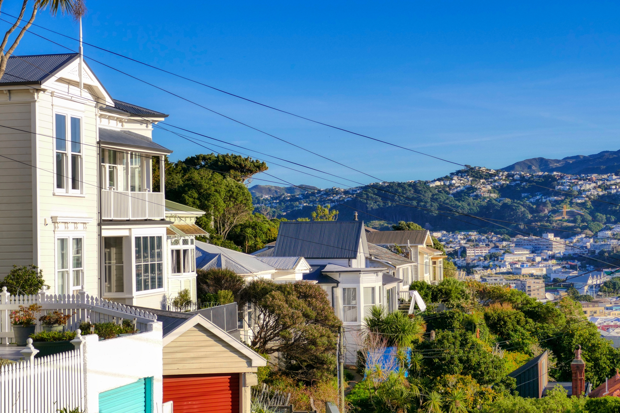 Wellington houses