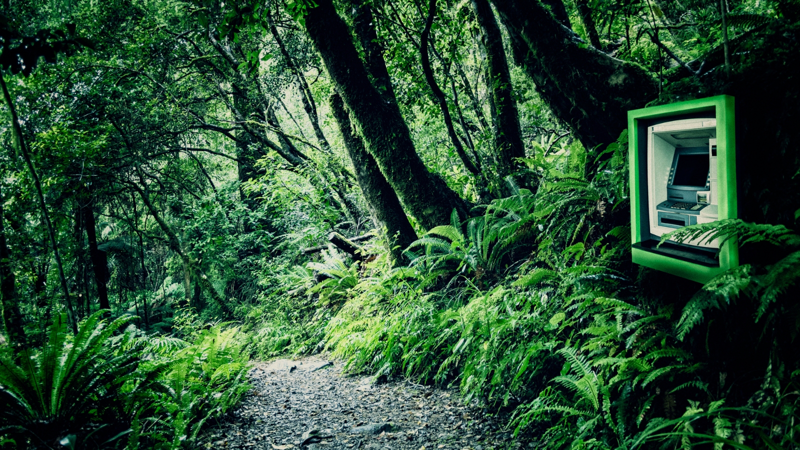 ATM in Kiwi bush. 