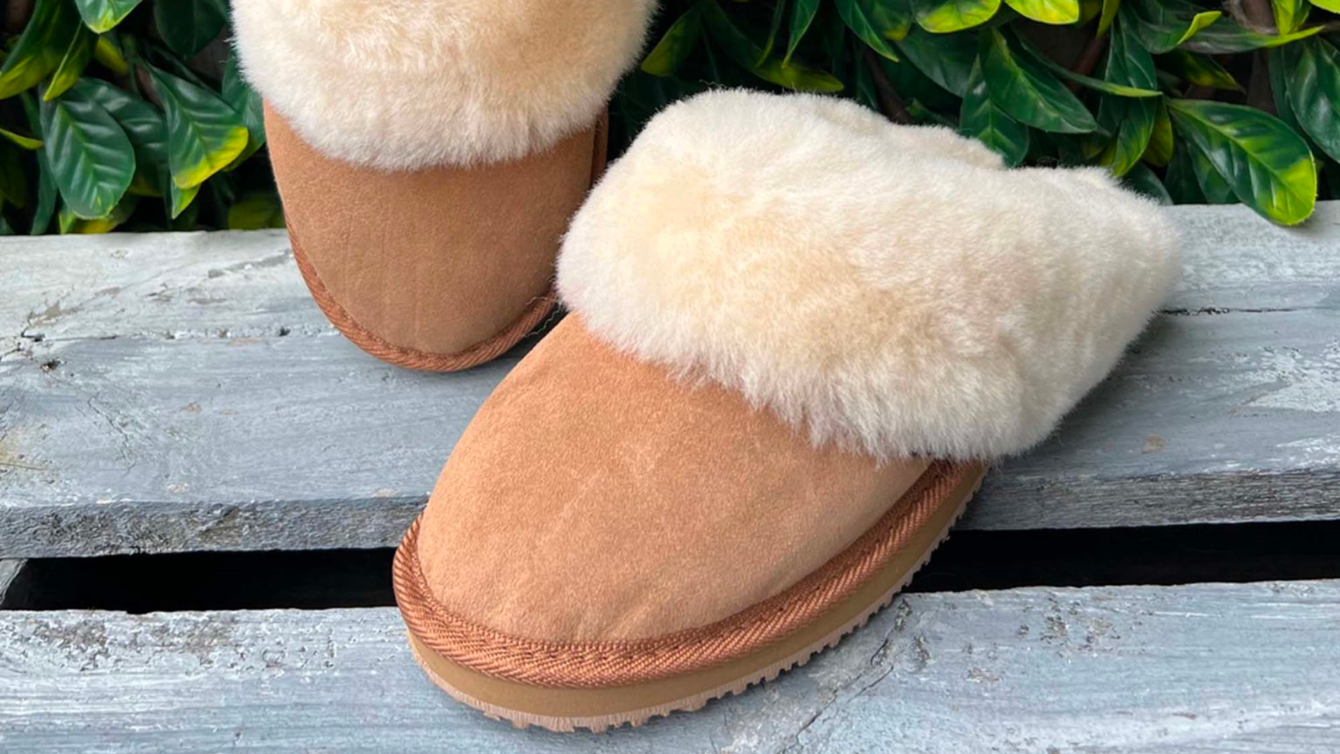 New Zealand Sheepskin Slippers in a tan colour.