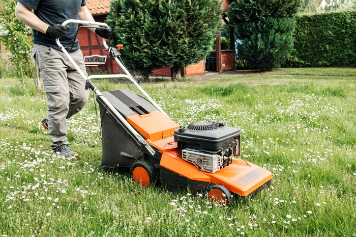 How to choose the best lawn mower: NZ buying guide