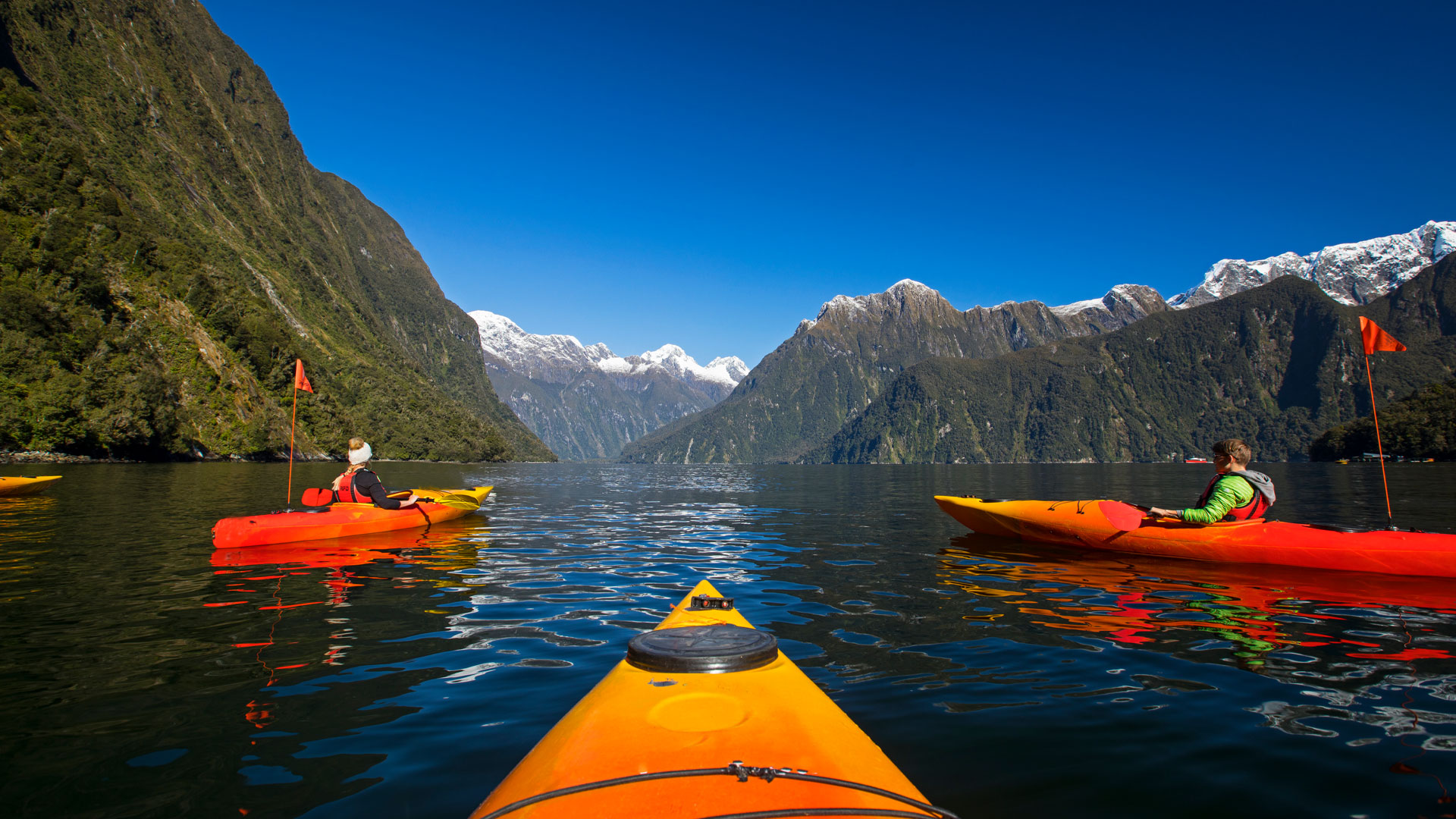 Kayak tour guide taking a group of kayakers on a tour in Fiordland, New Zealand.