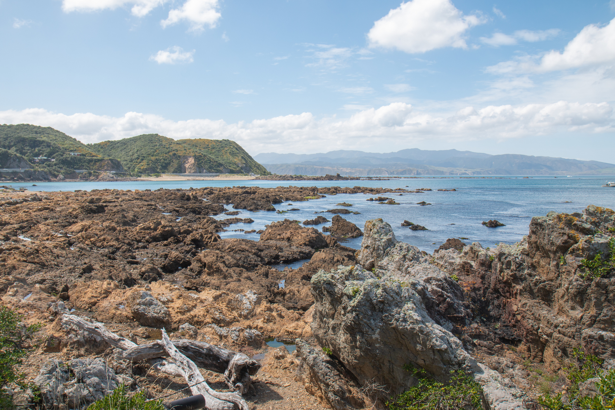 Island Bay rock pools