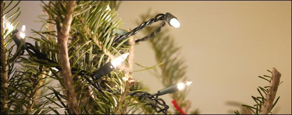 Christmas fairy lights on a tree