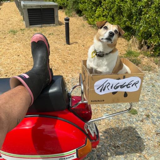 Who's a good boy?. Photo: SUPPLIED