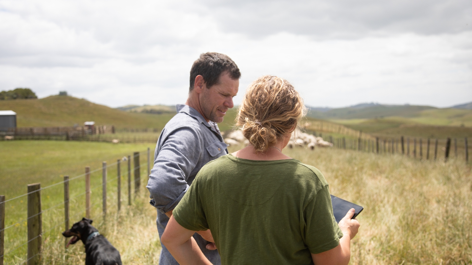 Man and woman on farm talking.