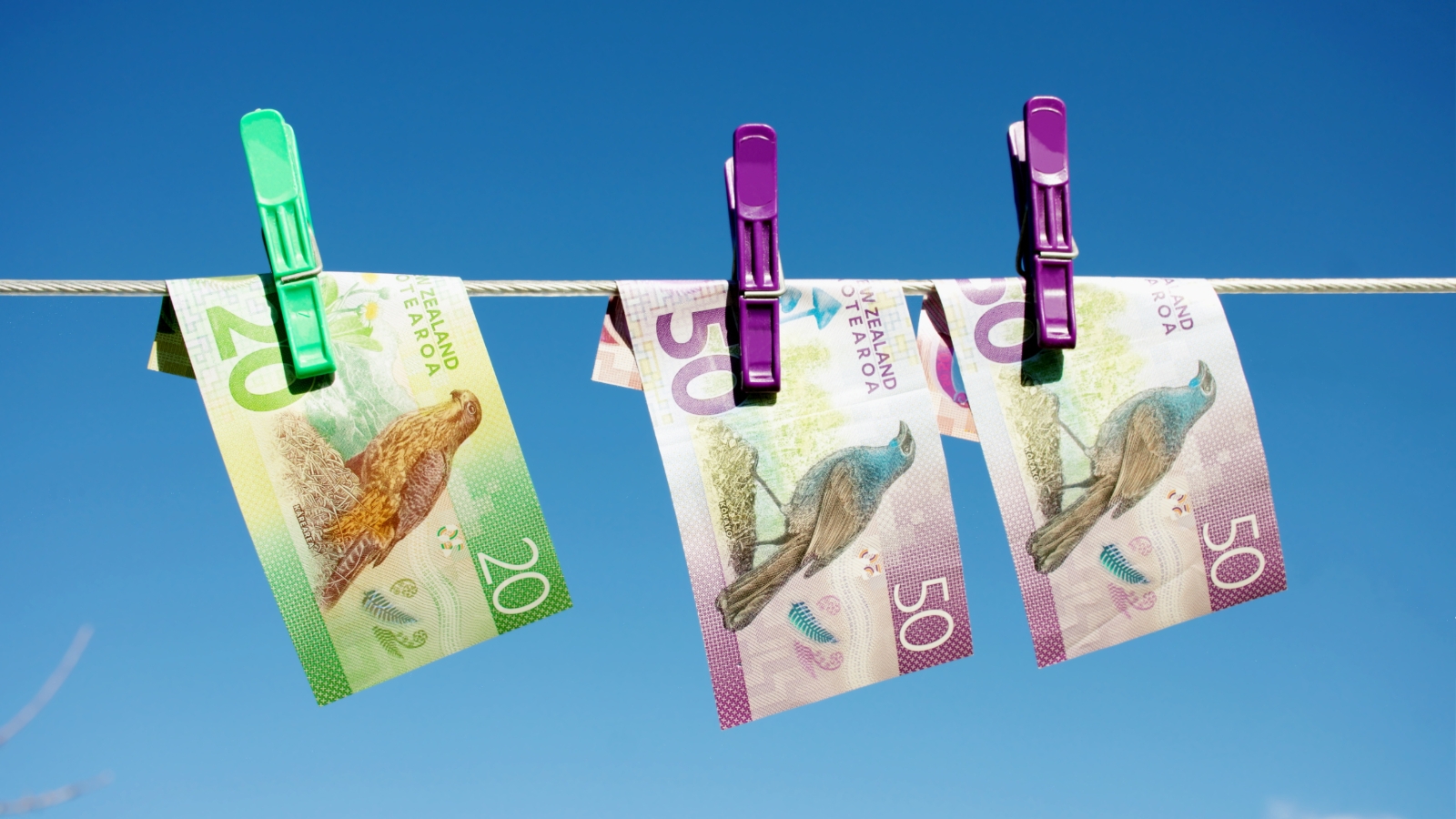 NZD hanging on a clothes line against blue sky. 