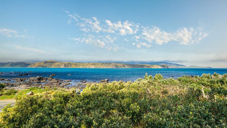 Breaker Bay views. Photo: LOWE & CO/TRADE ME