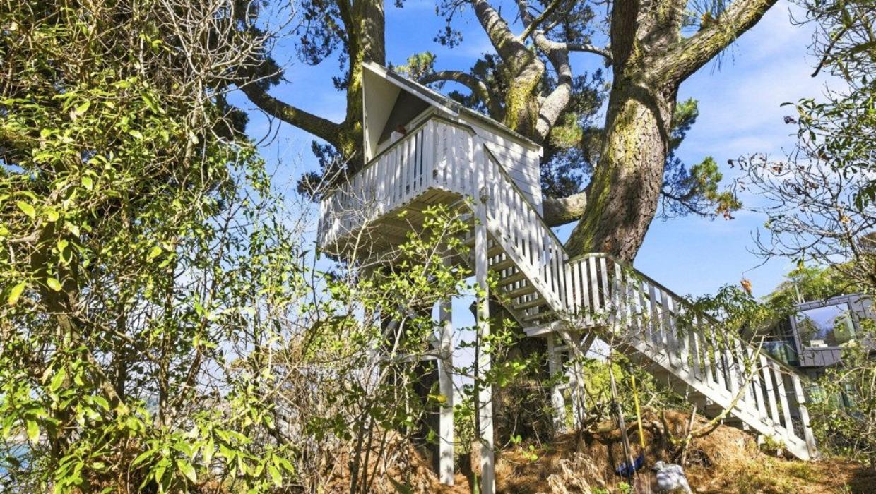 A treehouse has two bunk beds. Photo: HARCOURTS/TRADE ME
