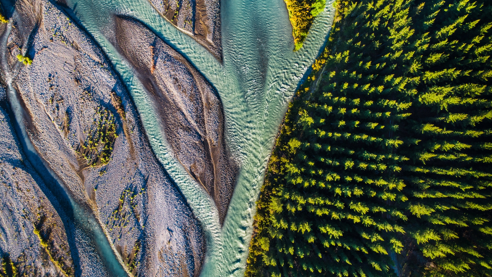 Drone shot of river and trees. 