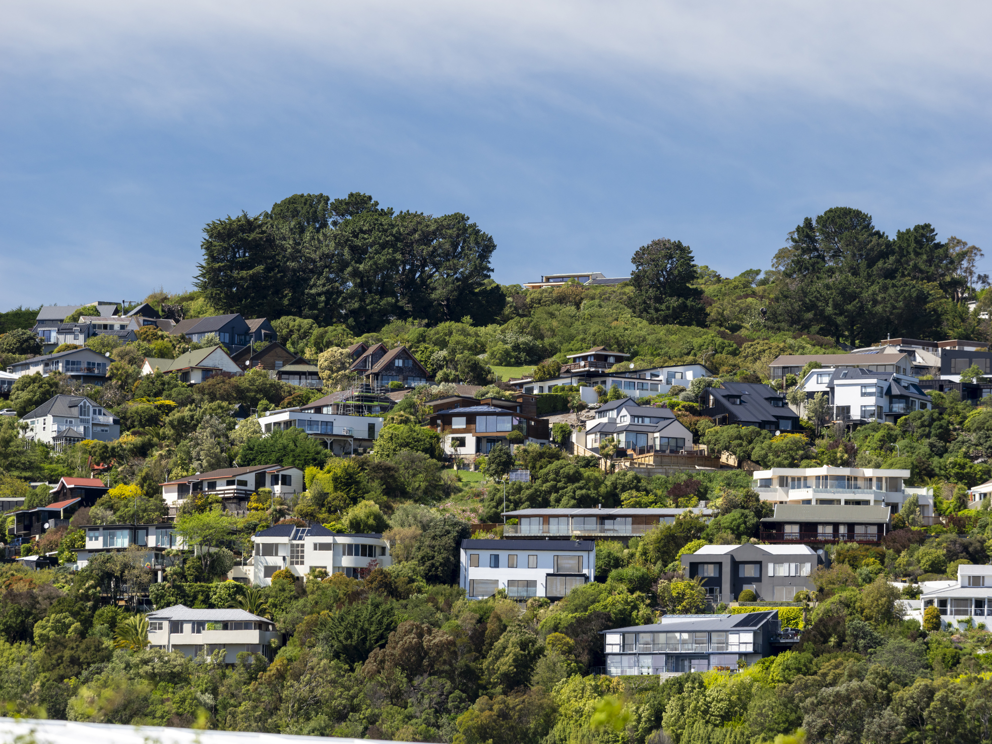 Spotlight on Canterbury, local property market insights