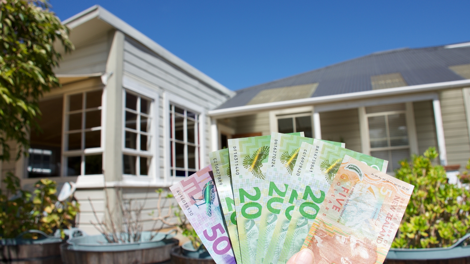 Hand holding money in front of house NZ. 