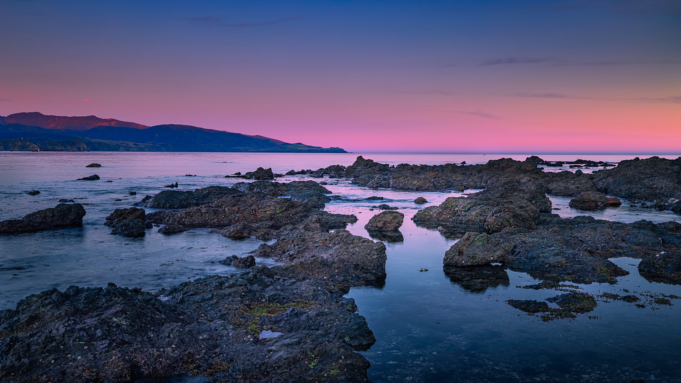The Wellington suburb buyers never want to leave