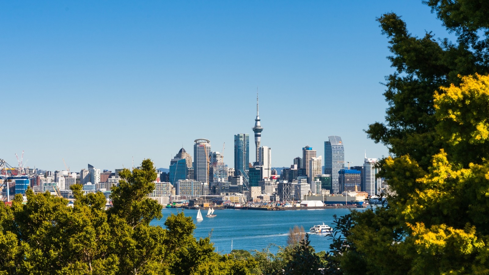 View of Auckland apartments. 