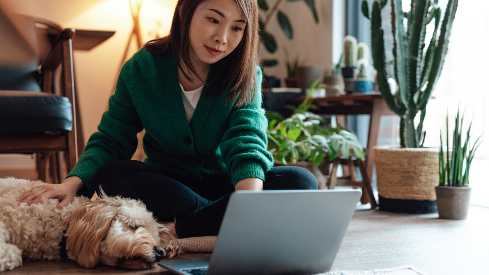 Image of dog and owner on laptop. 