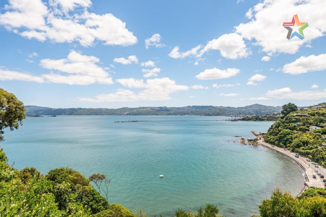 View over Wellington harbour
