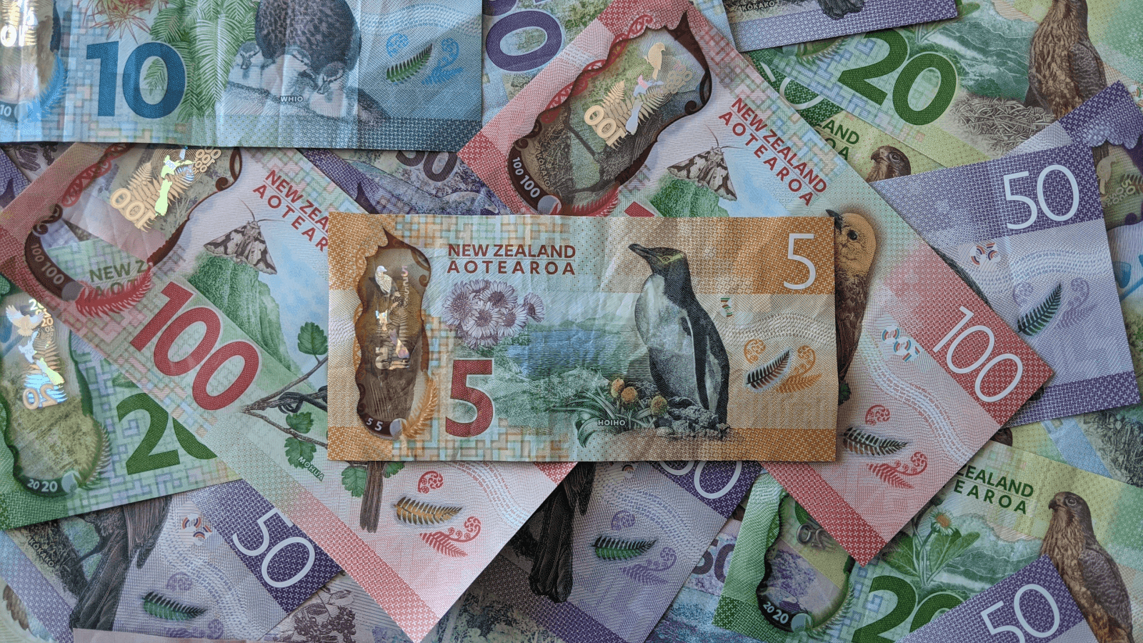 Pile of New Zealand cash