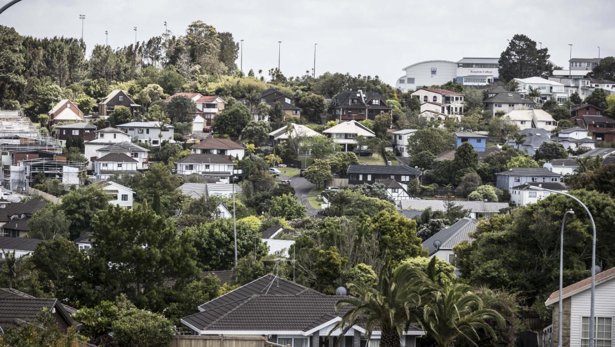 Photo of Auckland's North Shore