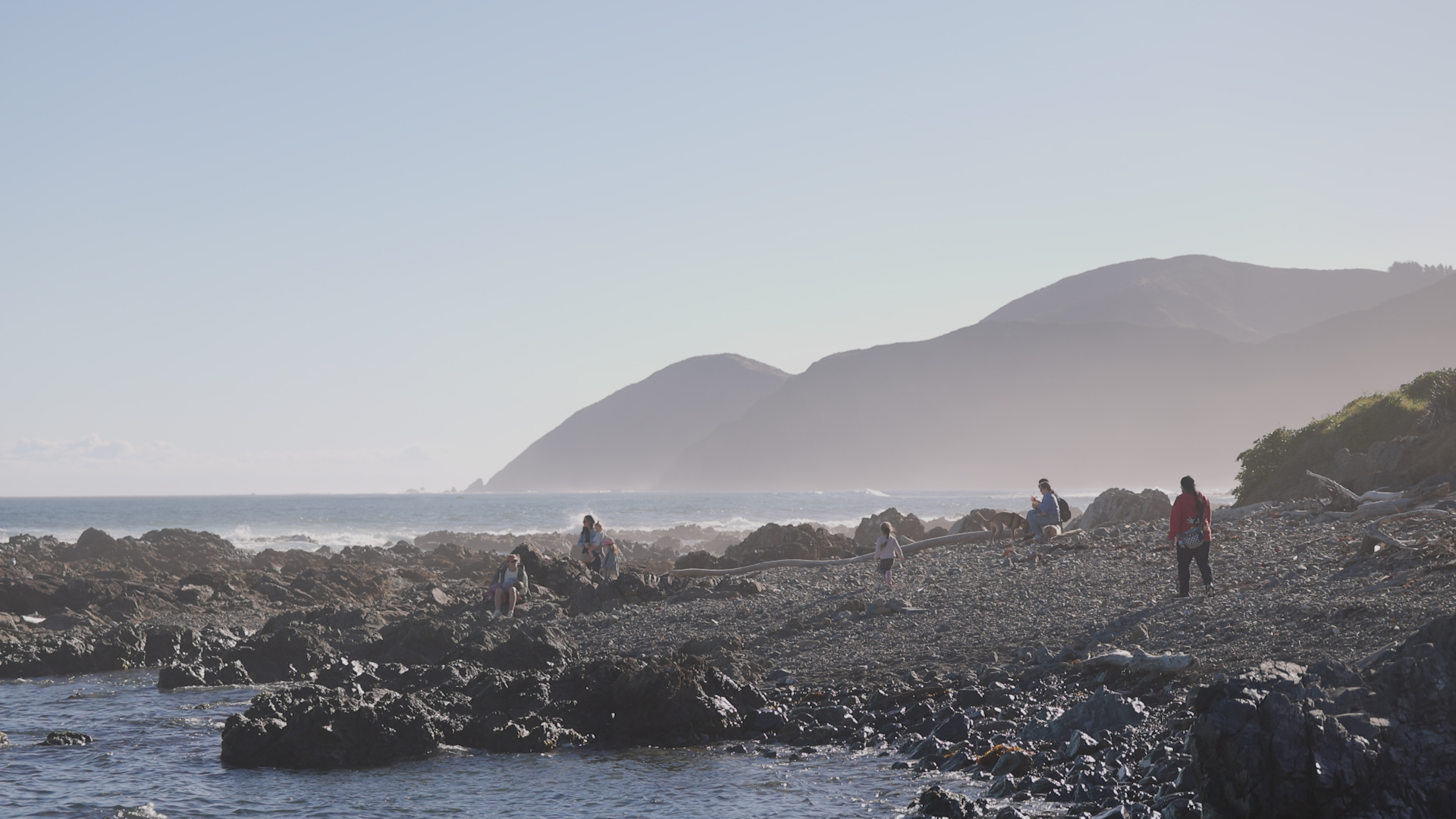Wellington's south coast.