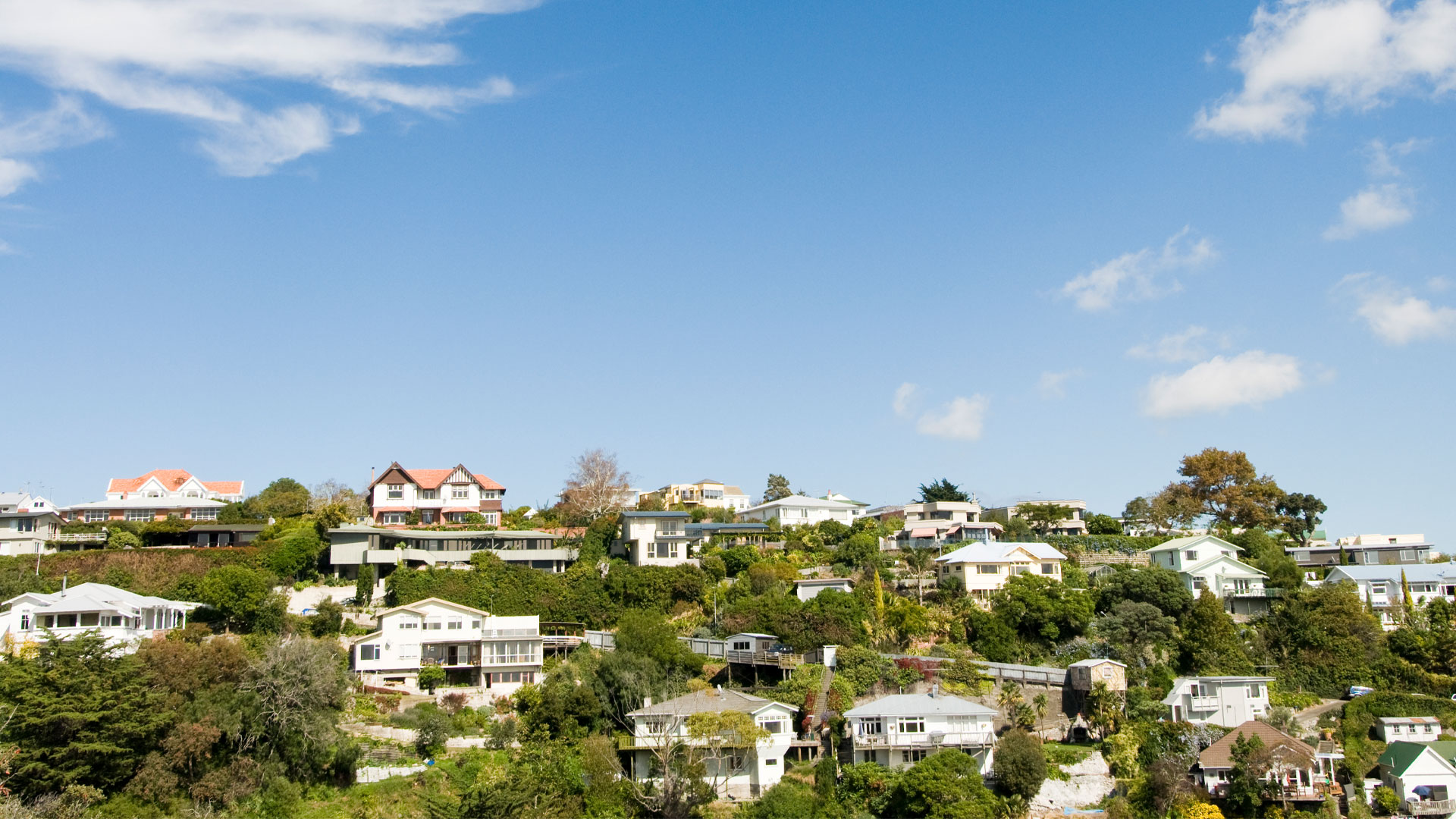 A photo of homes on a leafy hill in Napier.