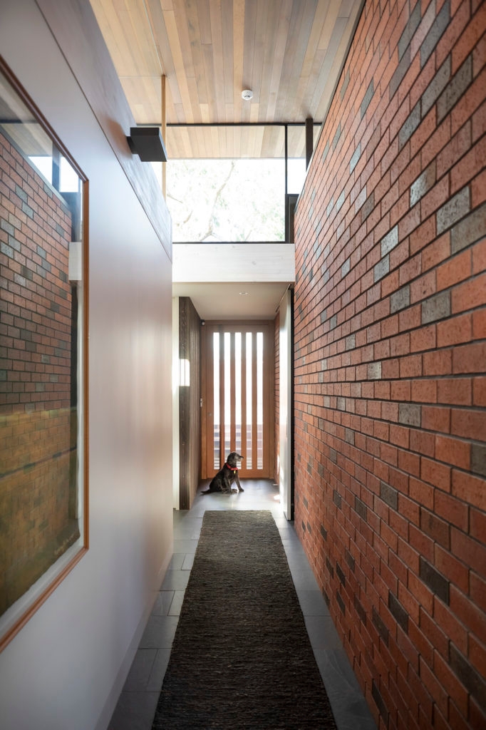 Black dog sitting at the end of a brick hallway