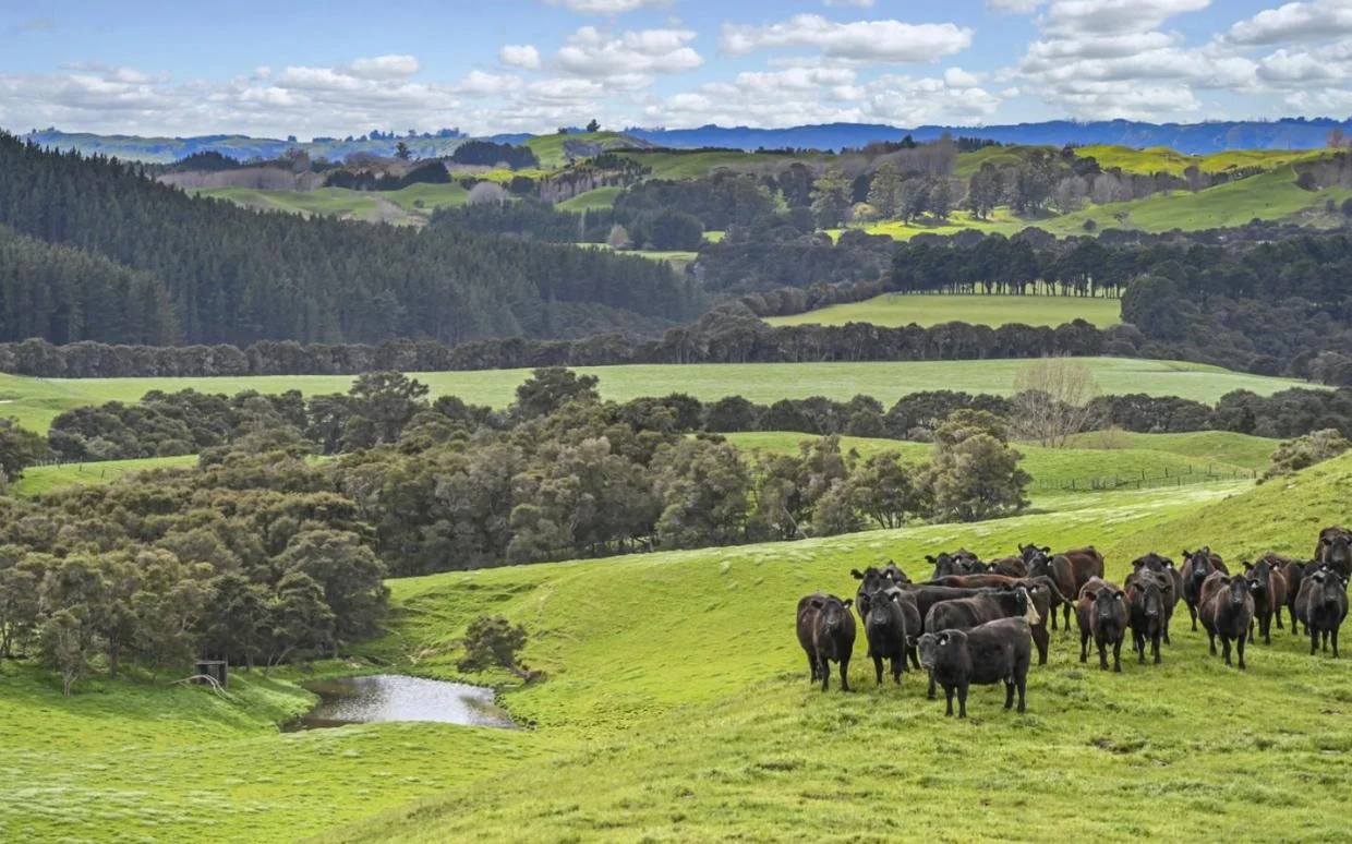 View of Hawke's Bay farm owned by Sam Whitelock