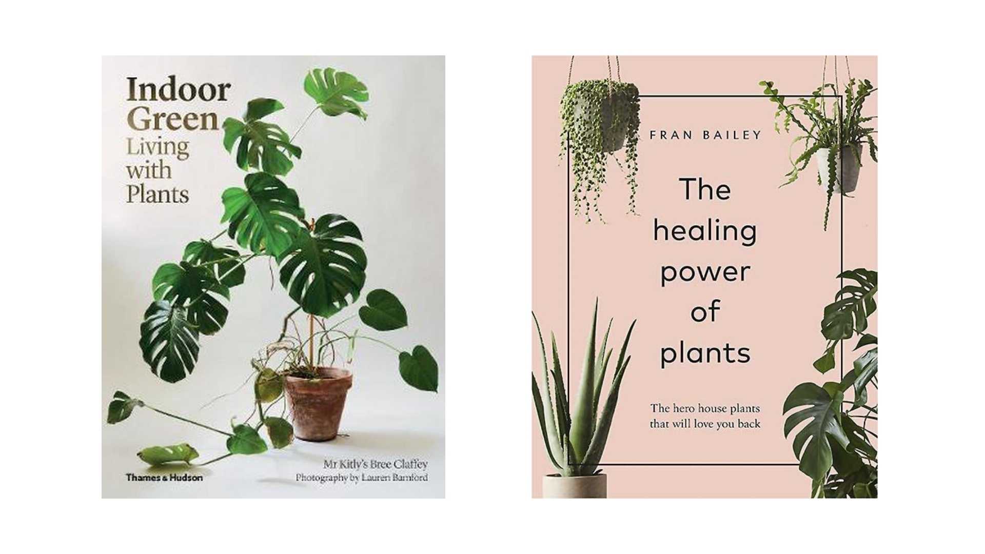  Two examples of books about houseplants that you can find on site.