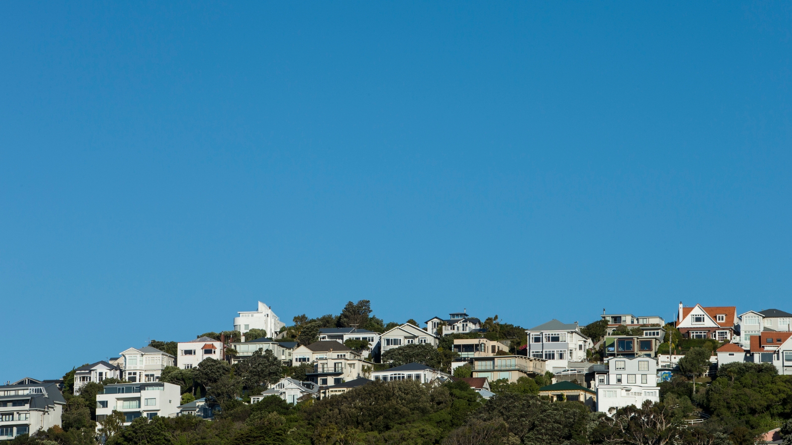 View of Wellington suburb