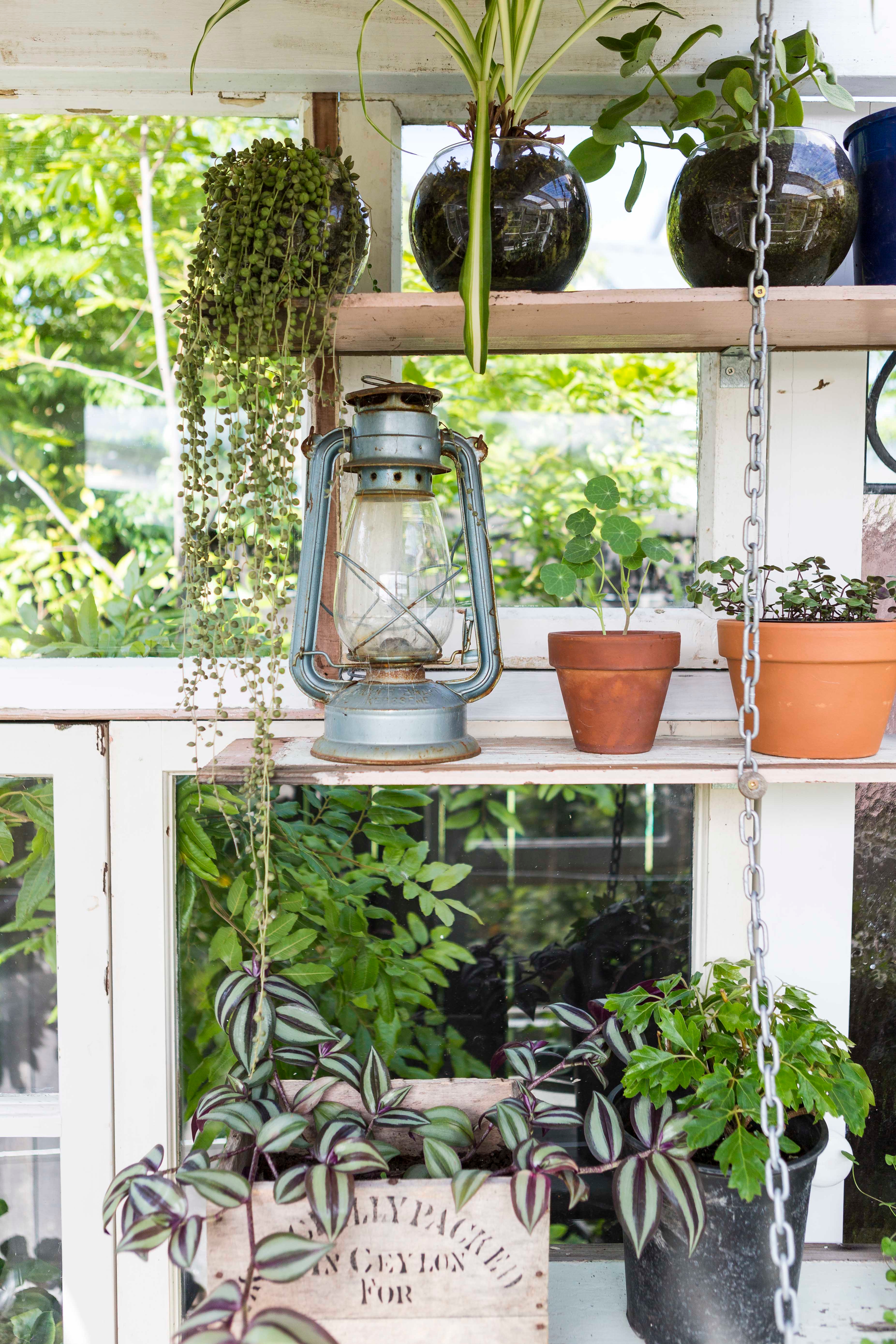 View of shelves with old lamp