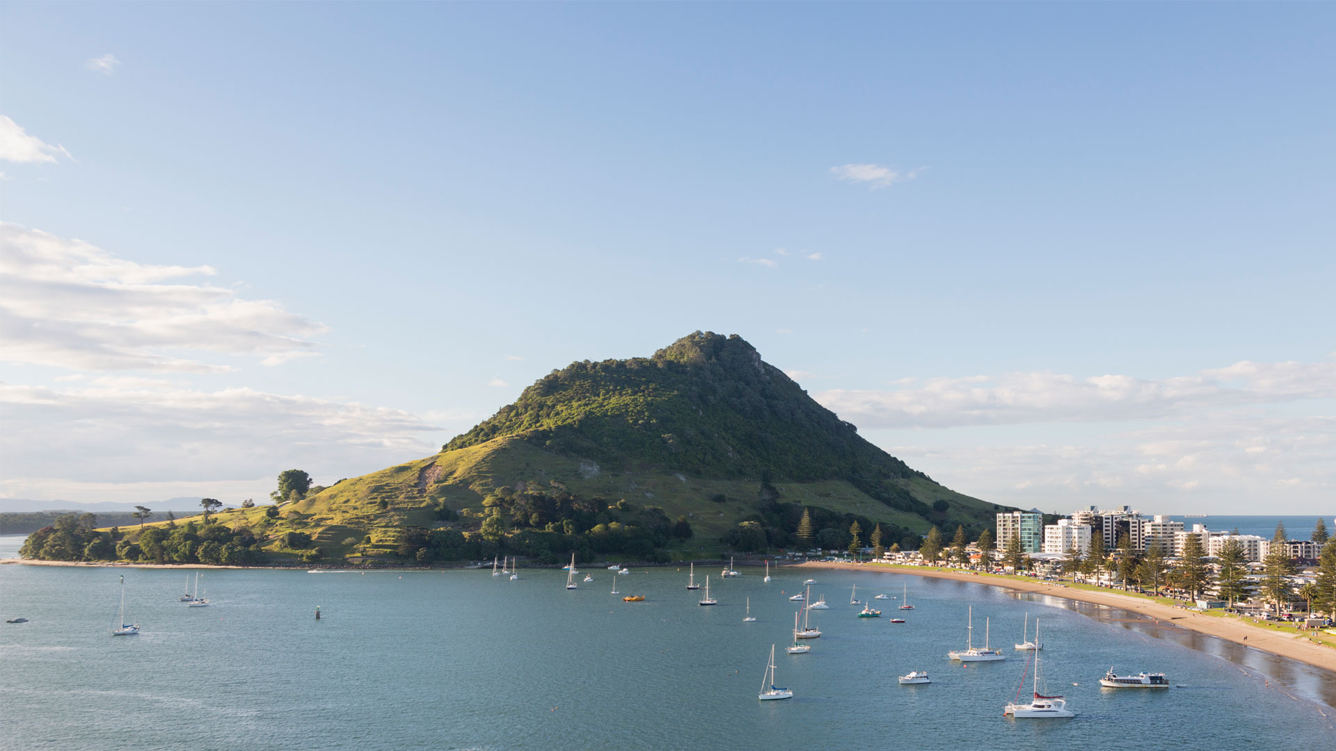 A photo of Mt. Maunganui in the Bay of Plenty, with a bay full of boats in the foreground.