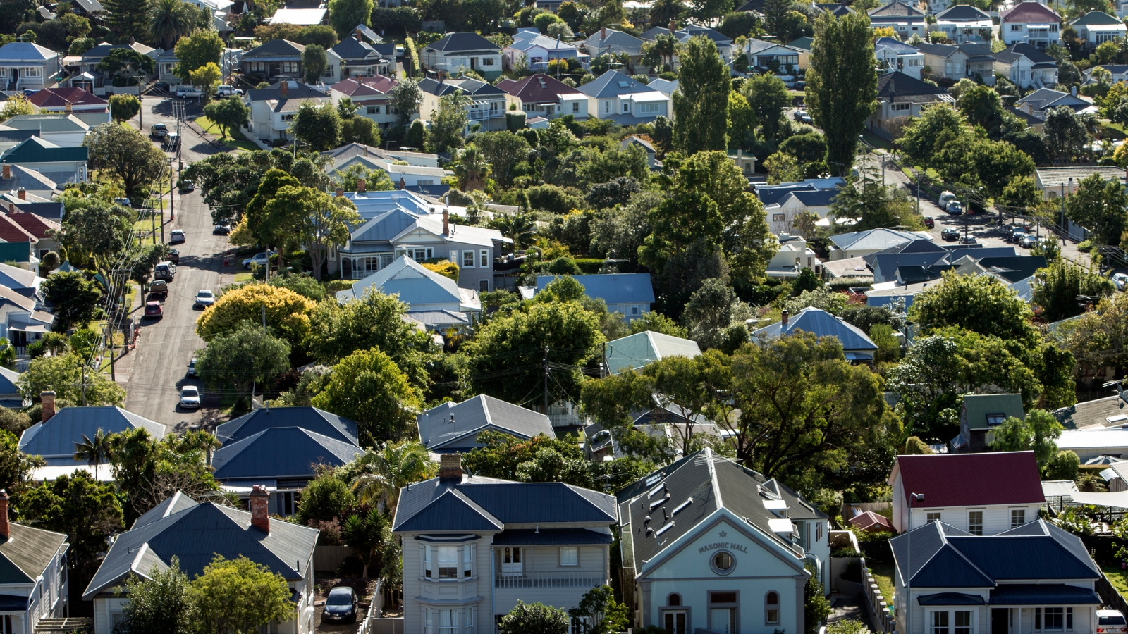 Houses on hill in NZ. 