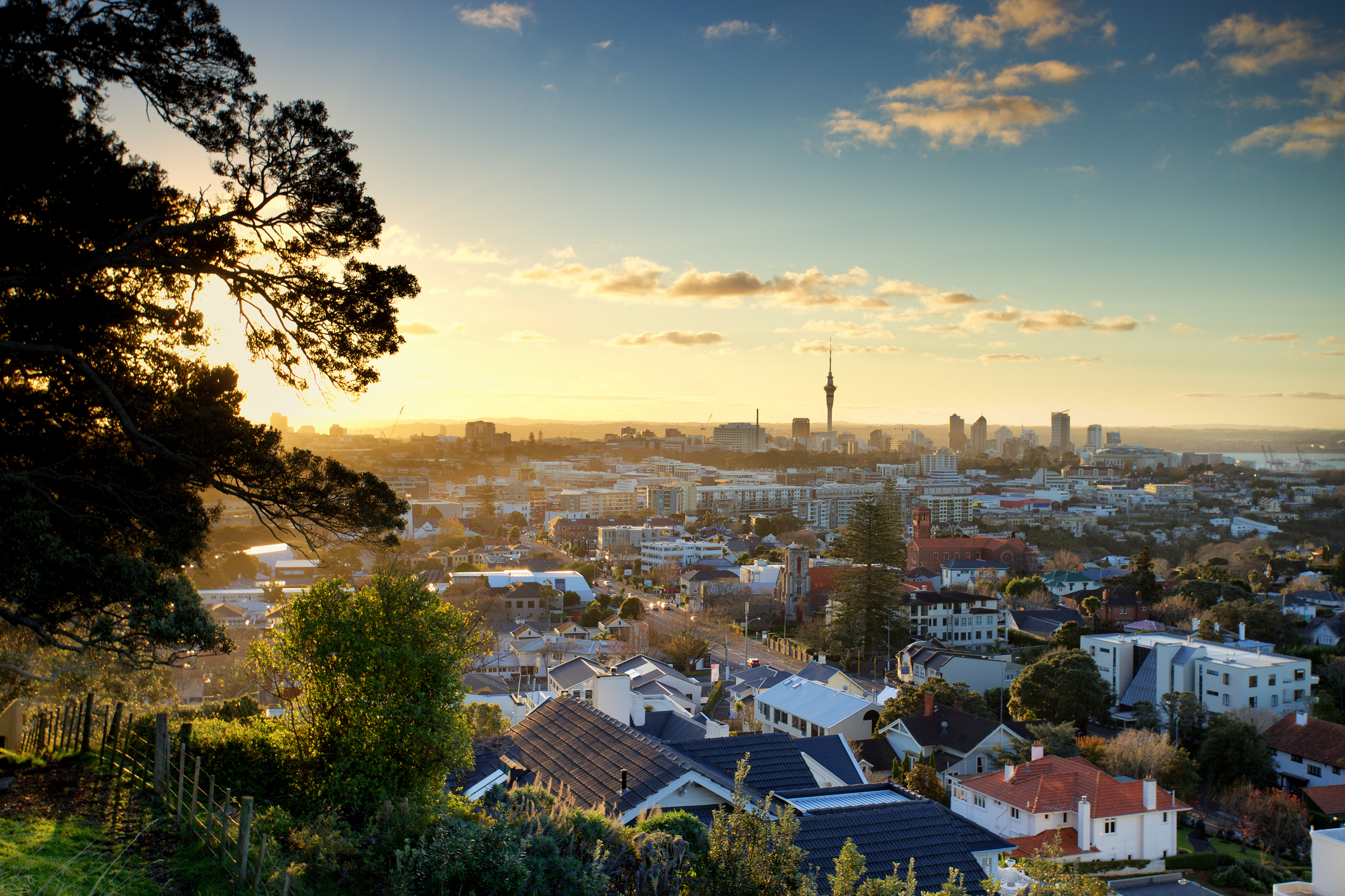 Auckland city seen from Mt Hobson