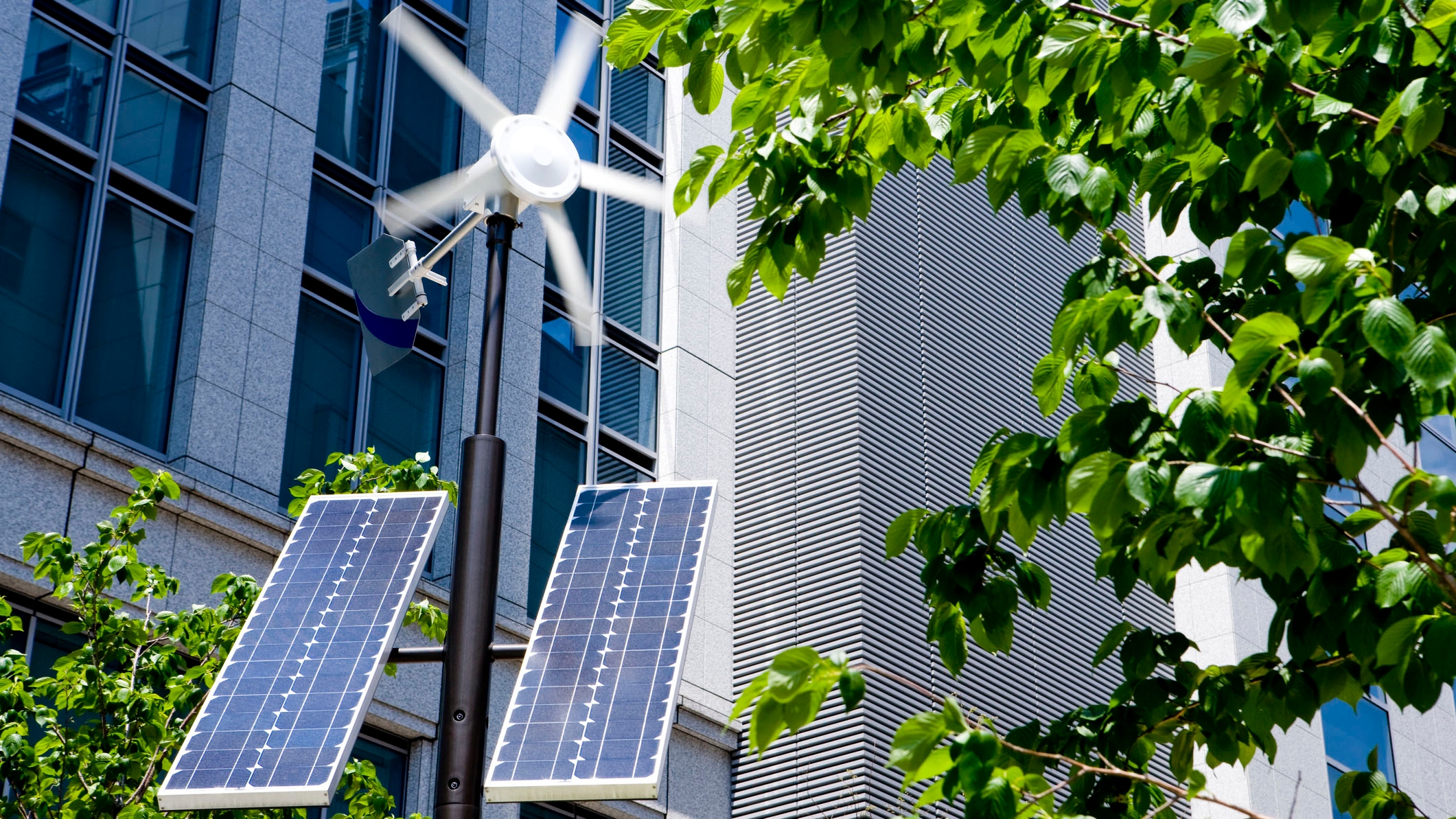 Small wind turbine and solar panels as inner-city energy sources.