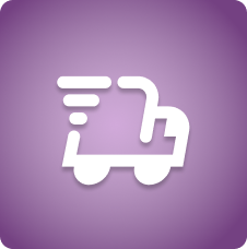 fast icon