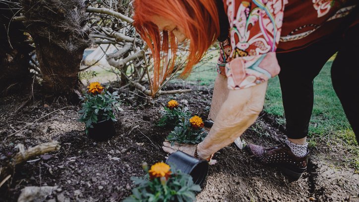 Woman planting small orange flowers