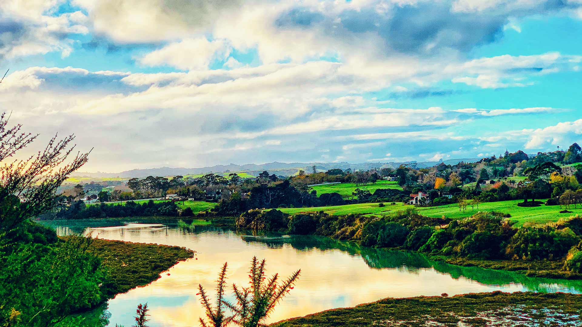 Mangemangeroa Reserve in Somerville, Auckland.