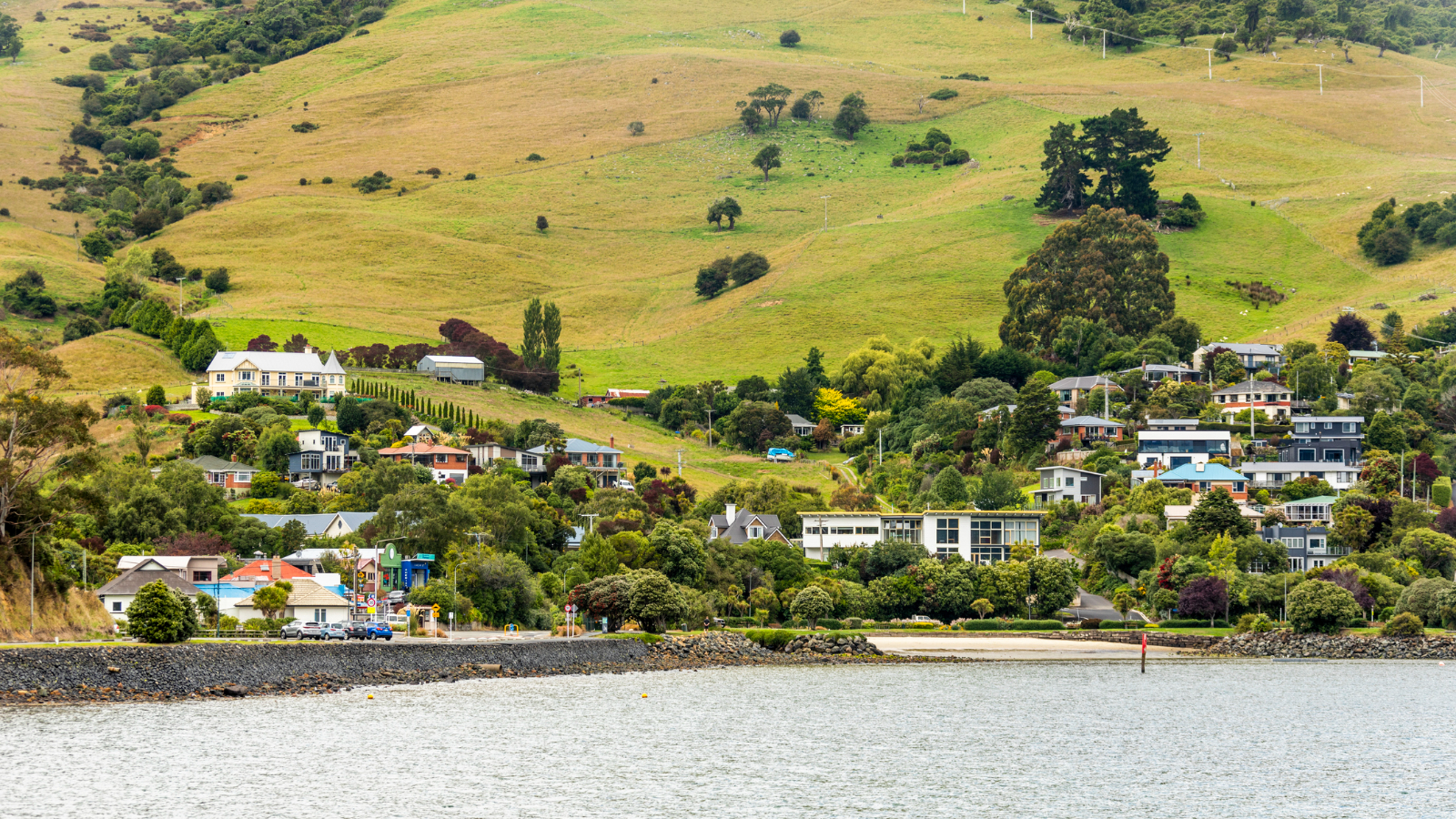 Macandrew Bay Dunedin