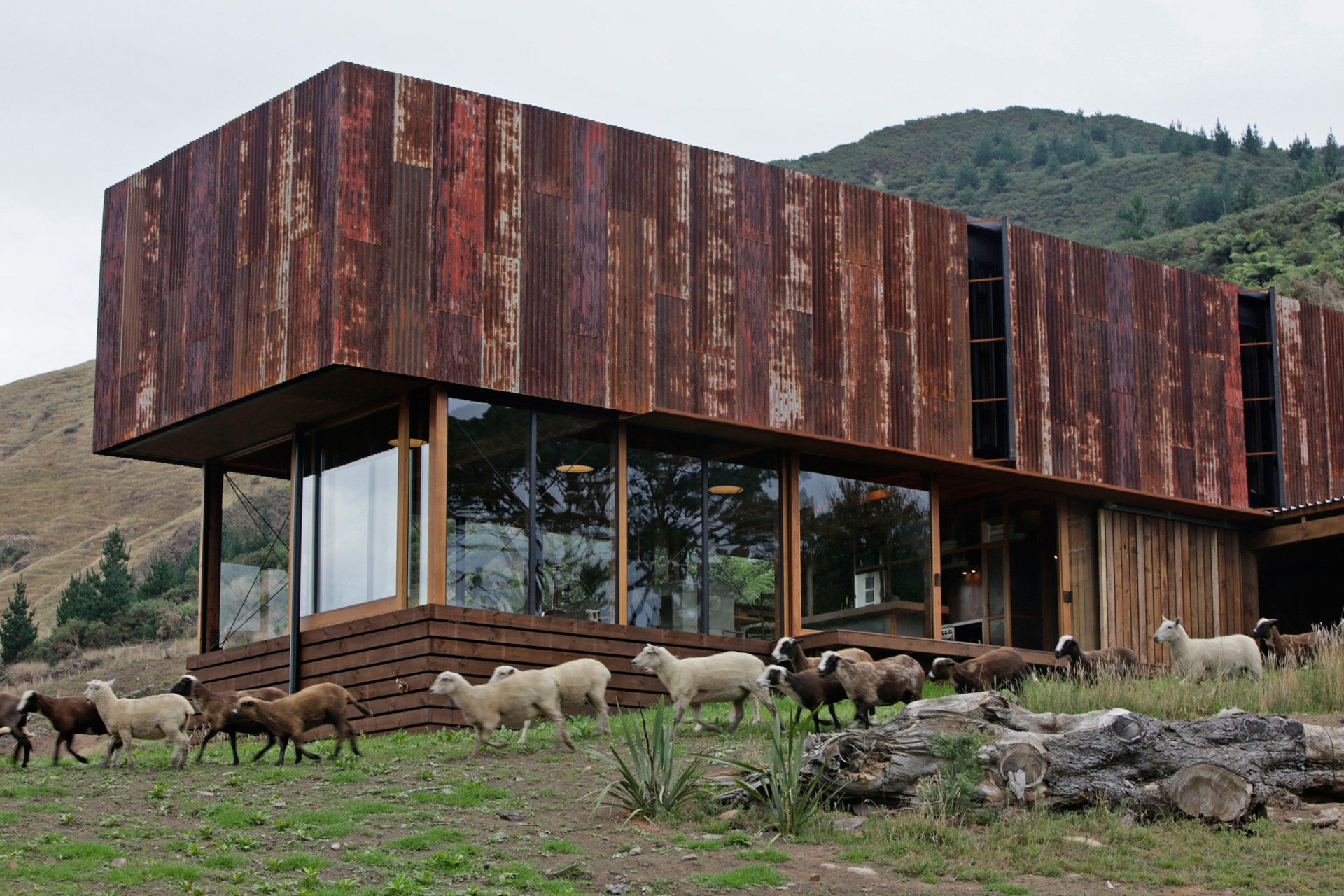 Sheep running around the home with a view of large rolling hills behind it