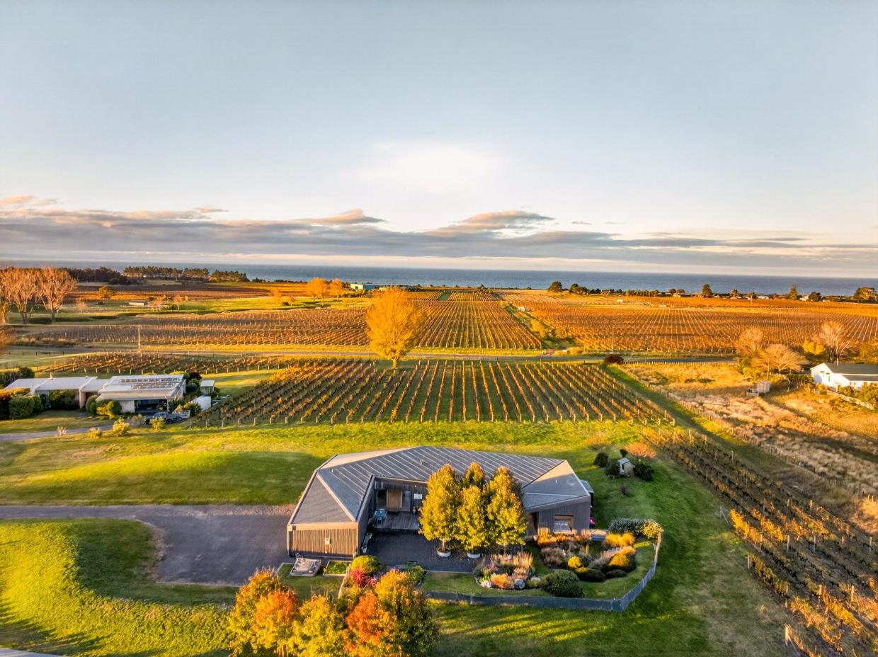 The home is set among the rolling vineyards of Park Hill Estate. Photo: BAYLEYS / TRADEME