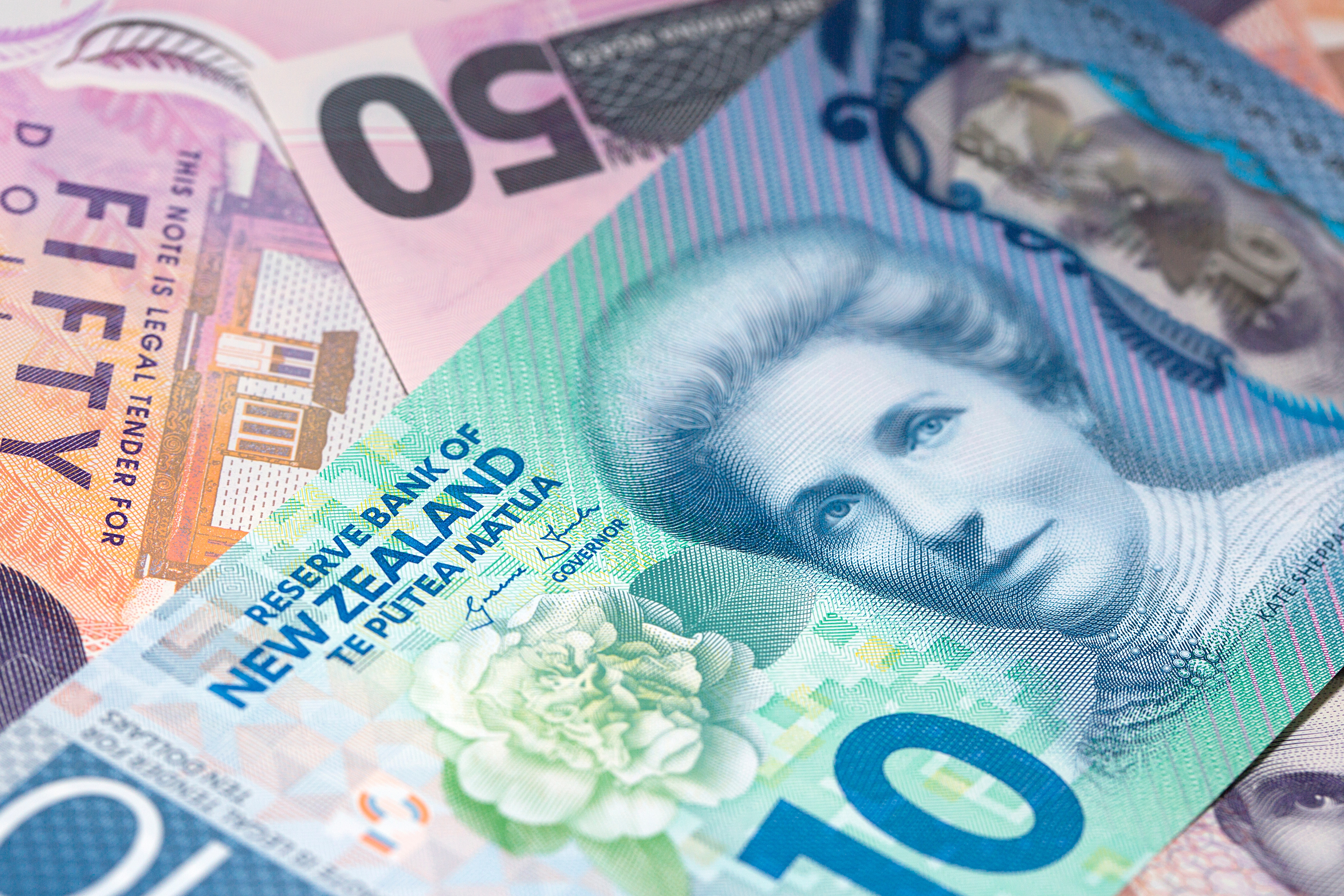 New Zealand ten and fifty dollar notes.