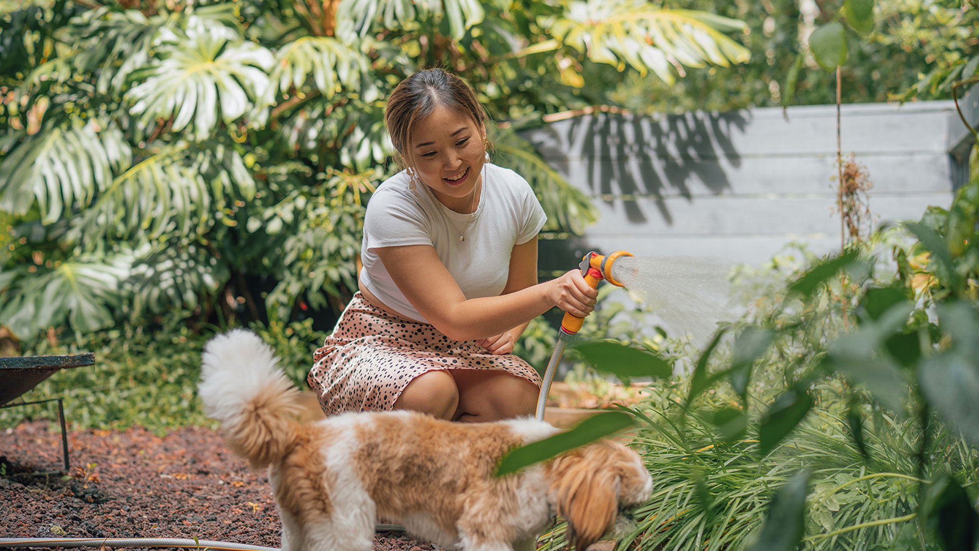 Woman watering her garden with a hose with her dog in the foreground.