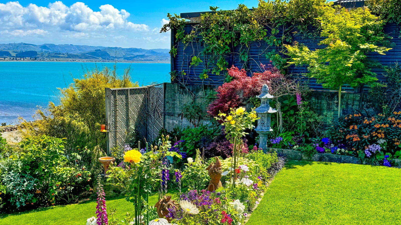 Wellington's steep section and coastal location makes for some beautiful gardens.