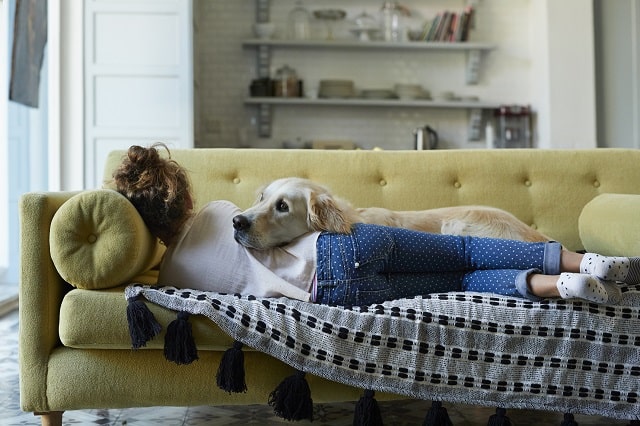 Girl napping on the couch with her golden retriever during winter.