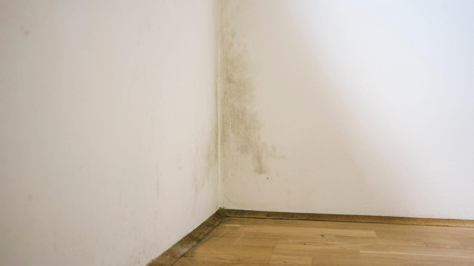 Mould on the wall of a leaky home in NZ. 