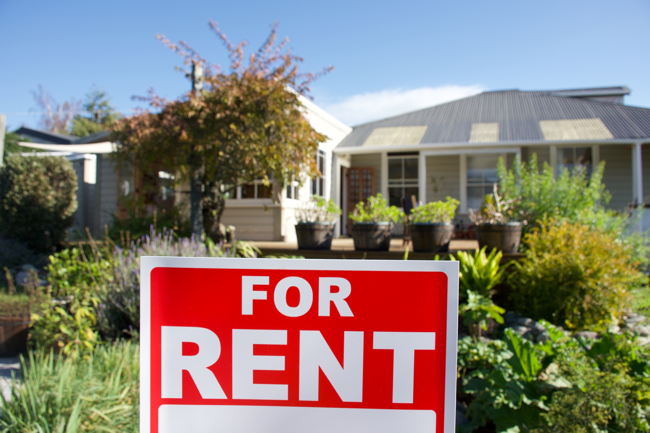 House for rent