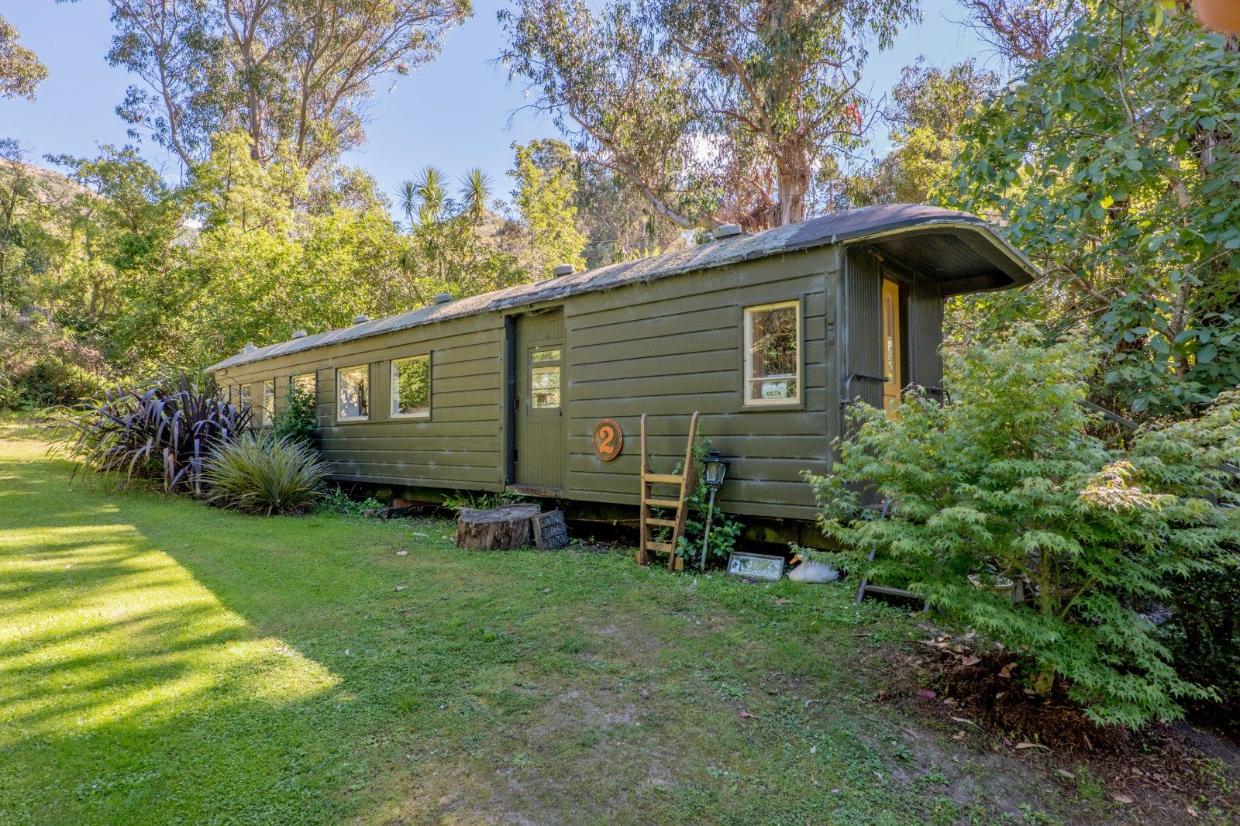 Another amazing surprise in the garden. 