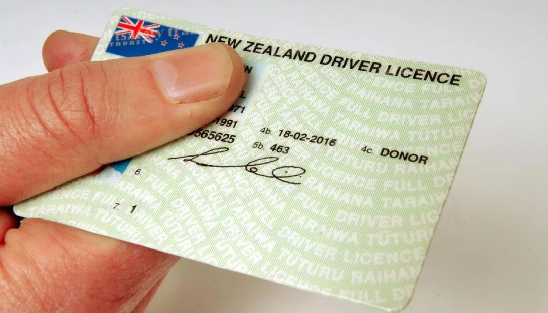 Renew your driver licence in NZ | Trade Me Motors