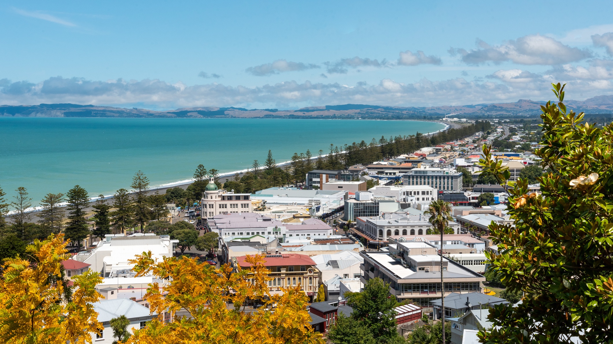 Aerial view of Napier's Art Deco city centre and coastline