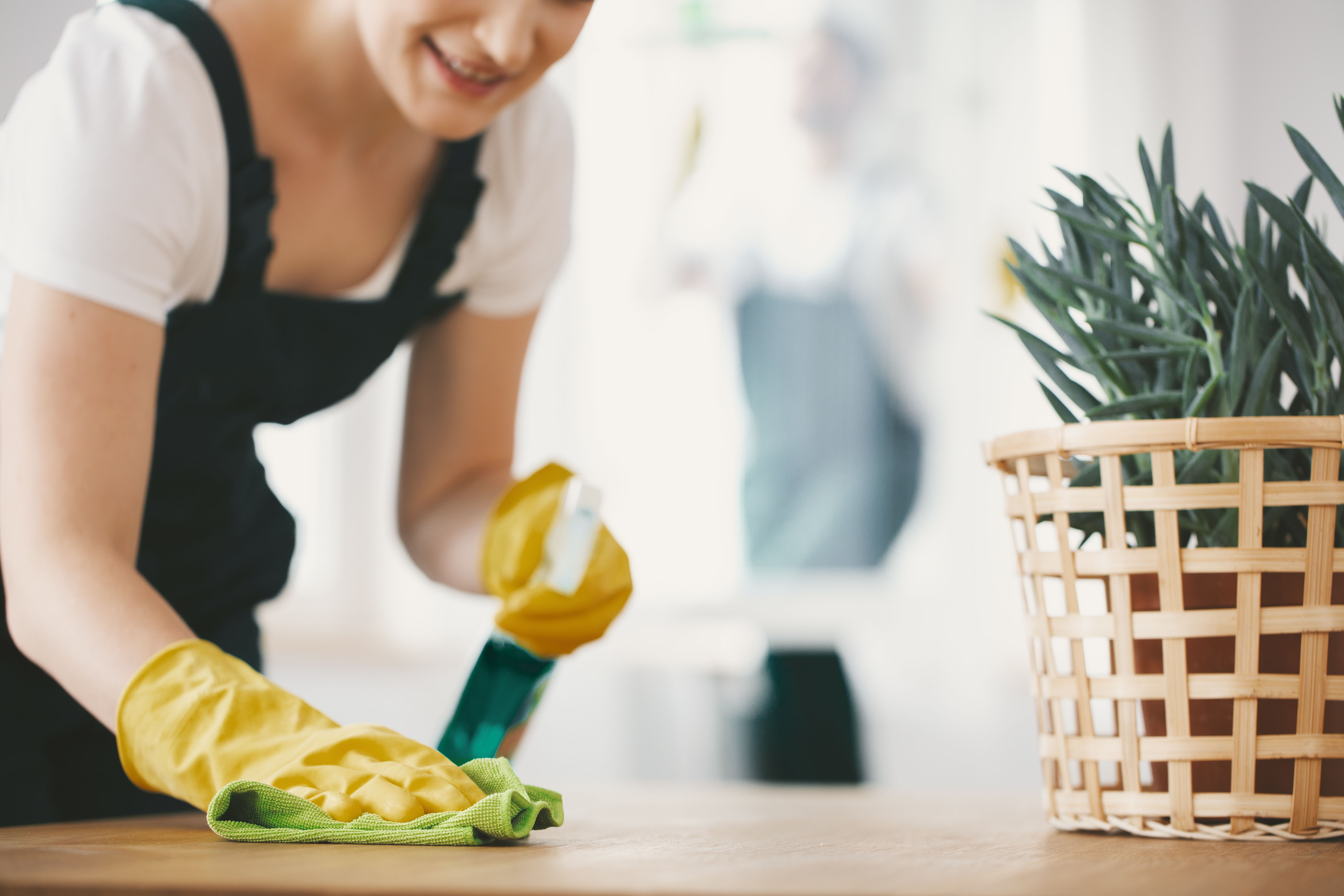 Female cleaner cleaning a house.
