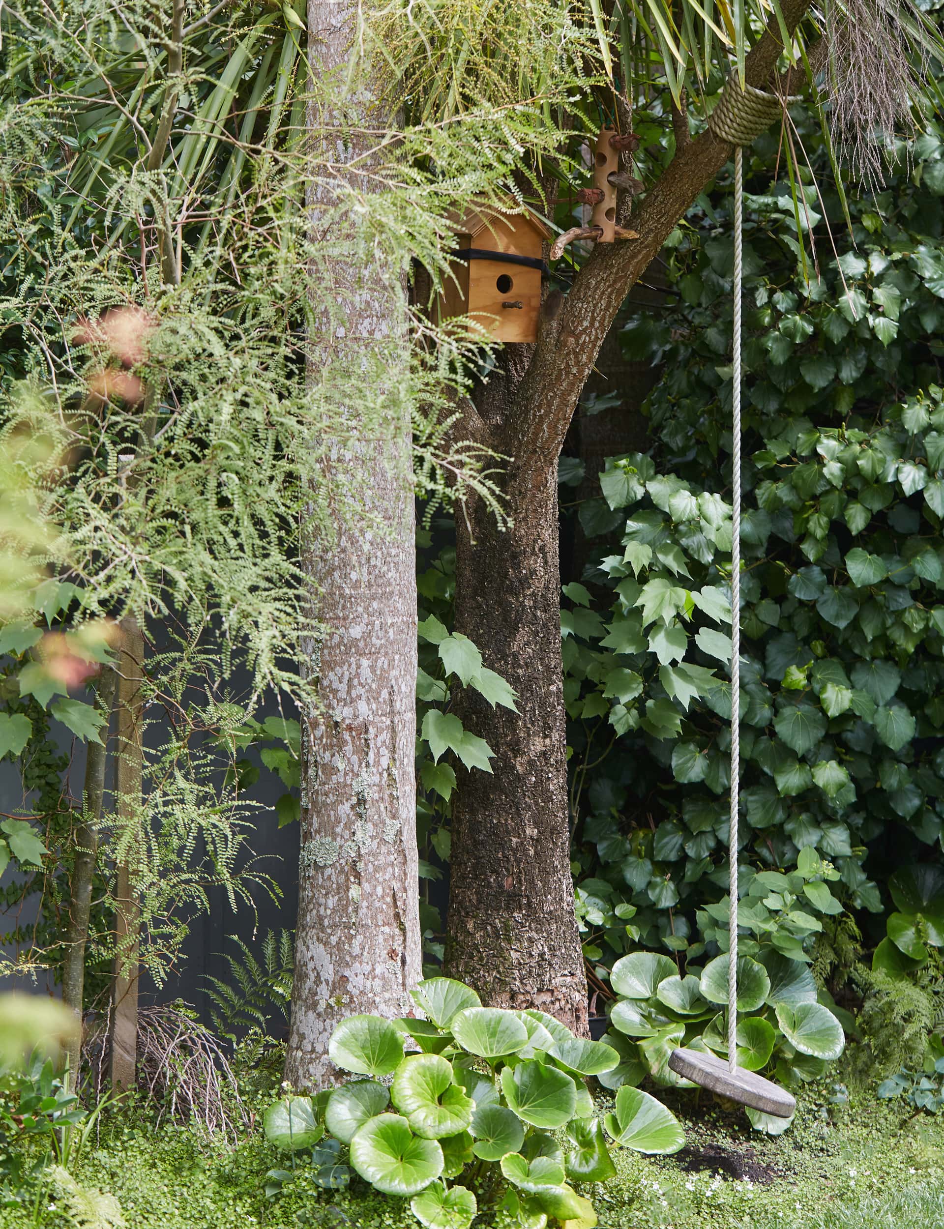 Ropeswing and birdhouse