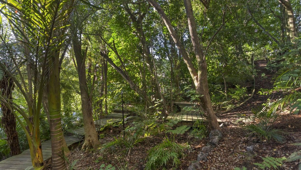 There are pathways through the bush, which attracts numerous native birds. Photo: NZ Sotheby's